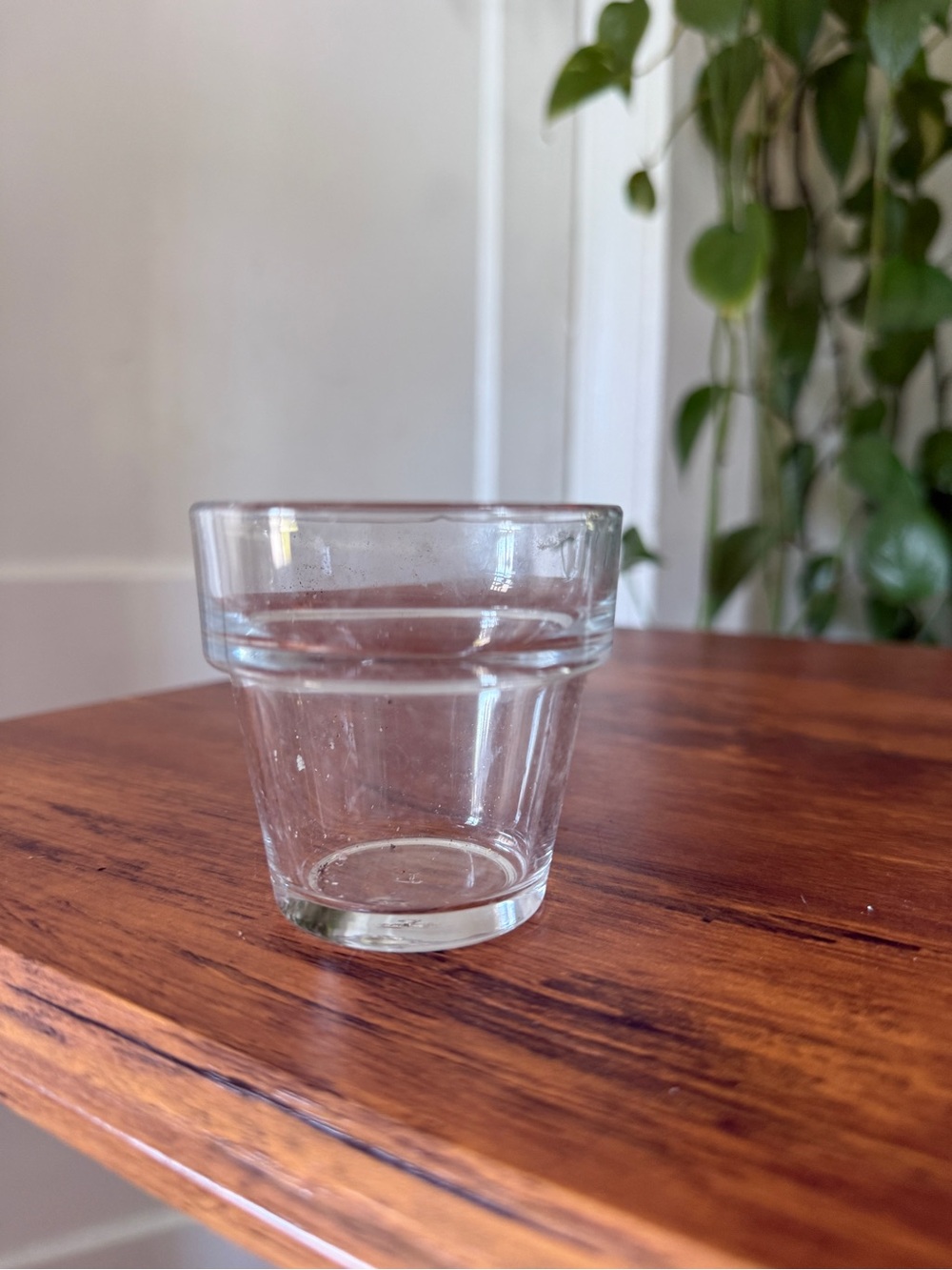 Clear Glass Tumbler - Simple Everyday garden glass